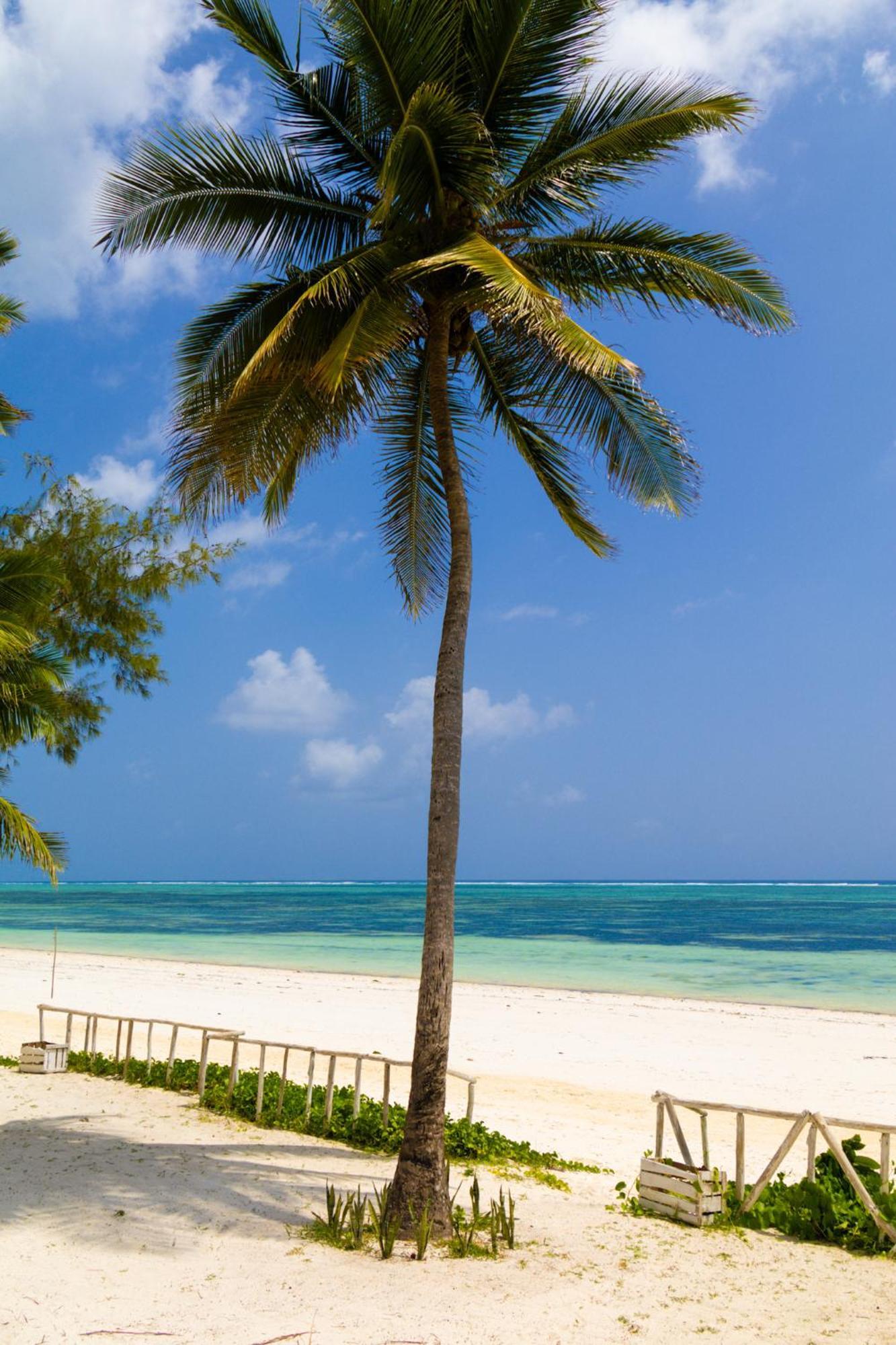 Pili Pili Orient Beach Resort Буэхуу Экстерьер фото